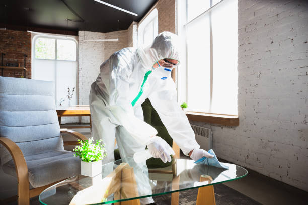 Best Commercial Mold Inspection in Lifornia City, CA