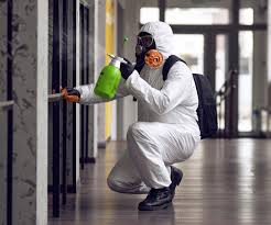 Best Comprehensive Air Testing for Mold Contaminants in Lifornia City, CA