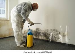 Professional Mold Removal in California City, CA